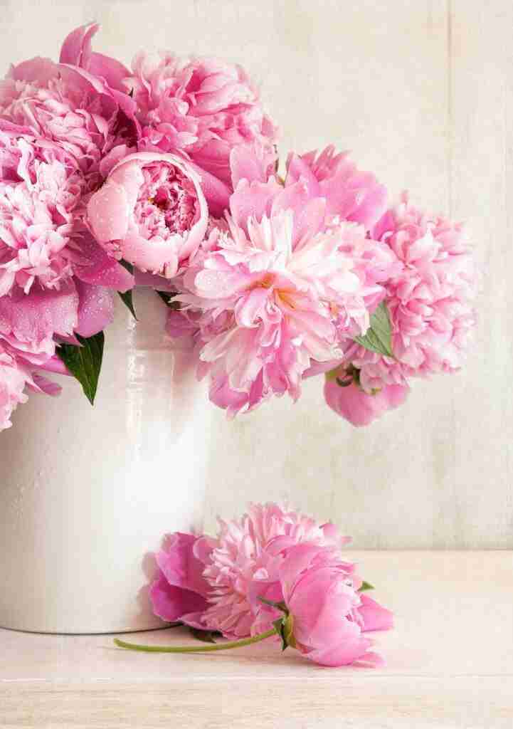 Does Your Office Smell Fresh? Why Scent Matters in the Workplace